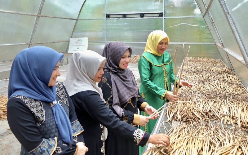 Ketua Dekranasda Aceh Tinjau Sentra UMKM Eceng Gondok dan Kain Kasab di Aceh Barat